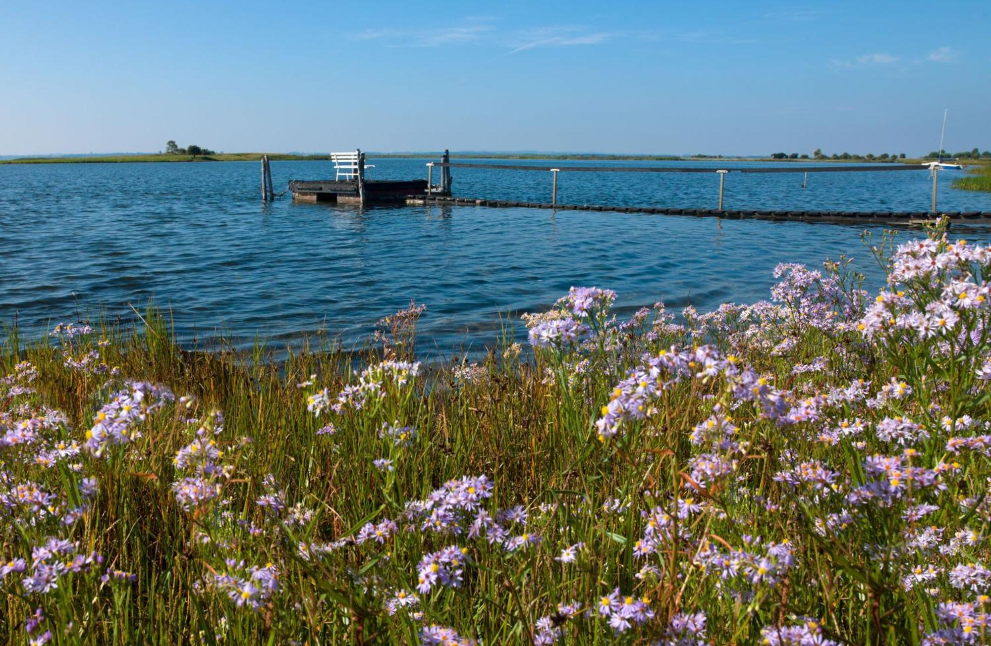 Ferienanlage Poschmann Strohboden Insel Poel Buitenkant foto